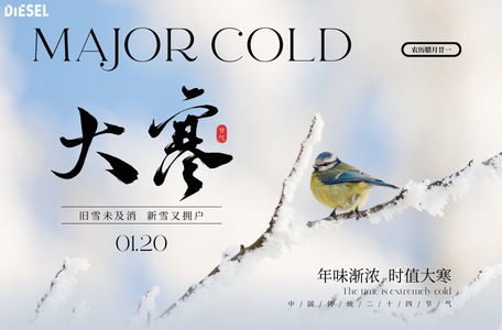 Common Rail Diesel Injection - News